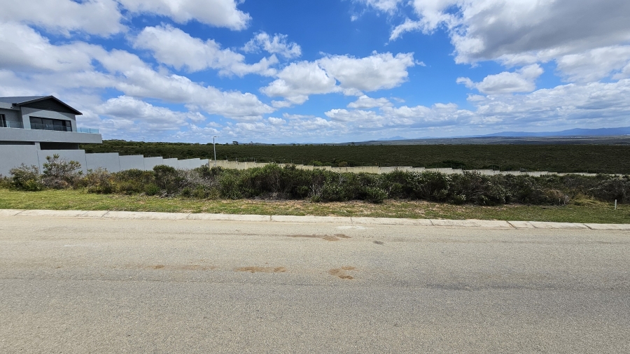 0 Bedroom Property for Sale in Blue Waters Estate Eastern Cape